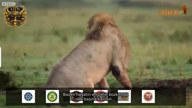 Altı Sponsorlu Alt Bant
