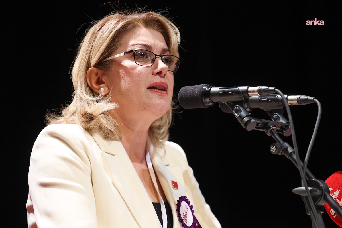 Asu Kaya, Gökçe Alkan cinayetine 'Kadın cinayetleri politiktir' dedi