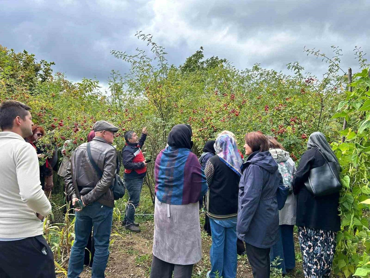 Eskişehir'den gelen kadın çiftçiler Kütahya'da kuşburnu ve ahududu üretimini öğrendi