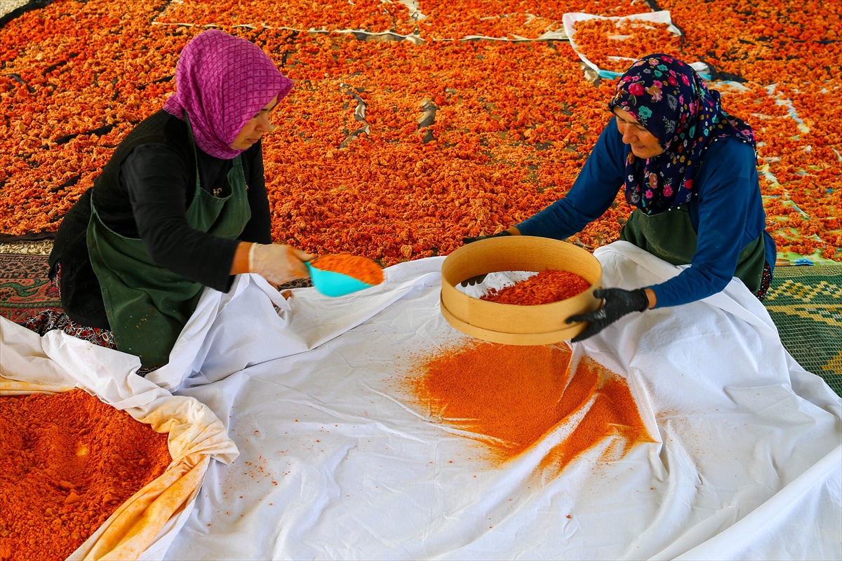 Uşaklı kadınlar tescilli tarhanayı imece usulü üretip 4 kooperatifte satışa sunuyor