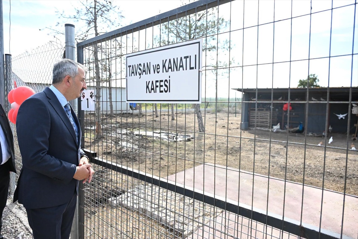 Edirne Valisi Yunus Sezer, Süloğlu'ndaki 42 dönümlük sahipsiz hayvan alanını gezdi