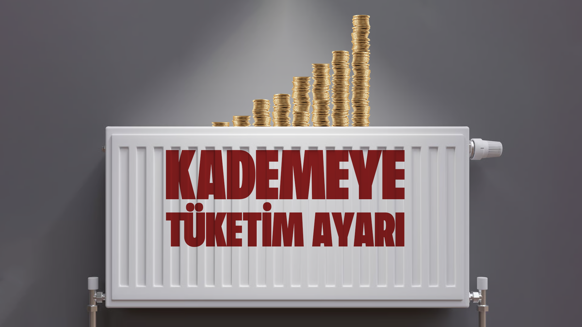 Doğal gazda 23 milyon abone için aylık tüketim limitleri gündeme geldi