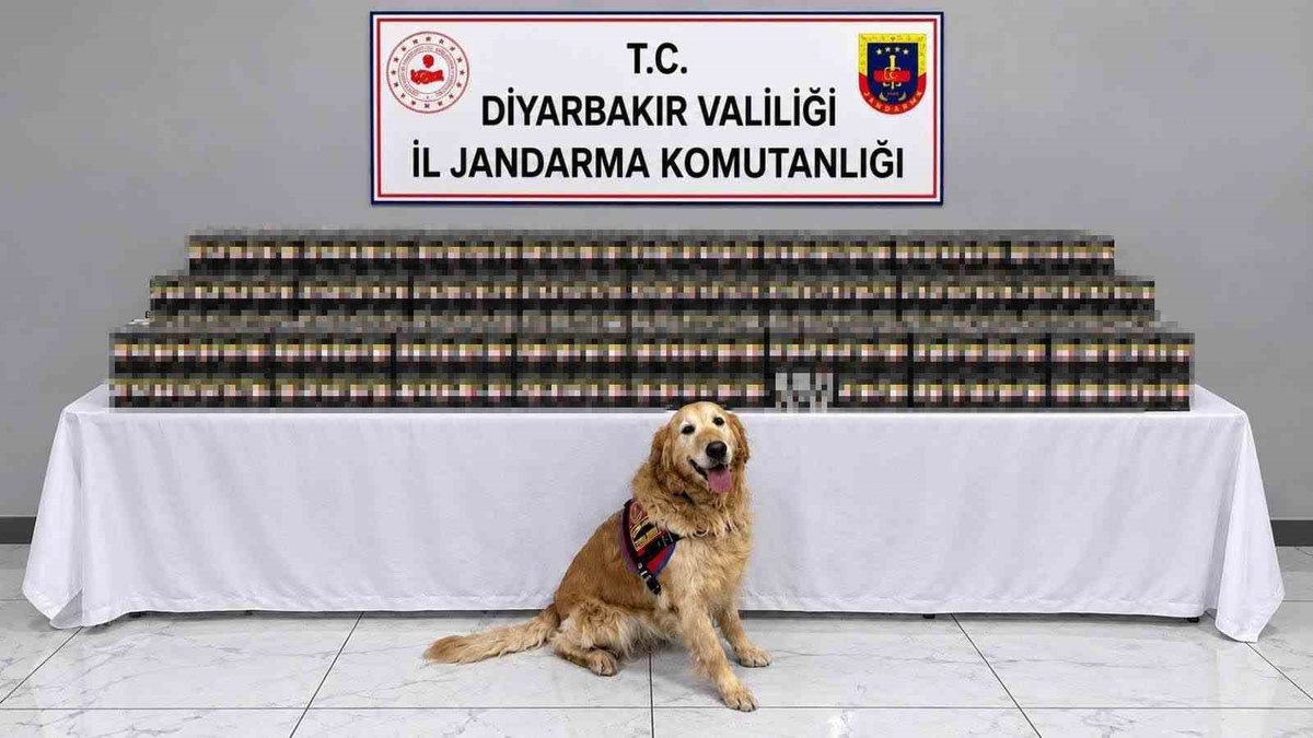 [BELEDIYE · Diyarbakır] Diyarbakır'da jandarma operasyonlarında 10 bin 895 paket kaçak sigara ele geçirildi