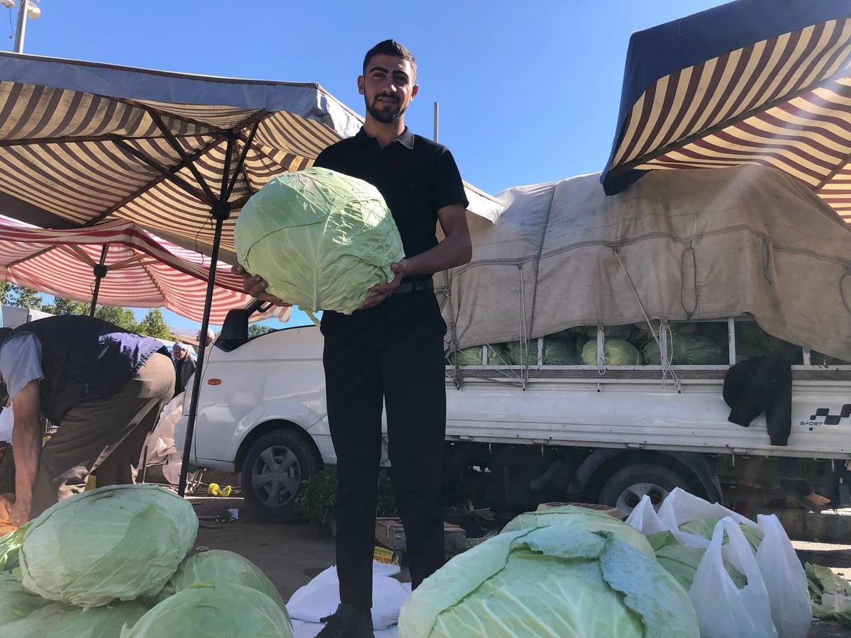 Erzincan'da kışın vazgeçilmezi lahana tezgahta 200 ile 250 TL arasında satılıyor