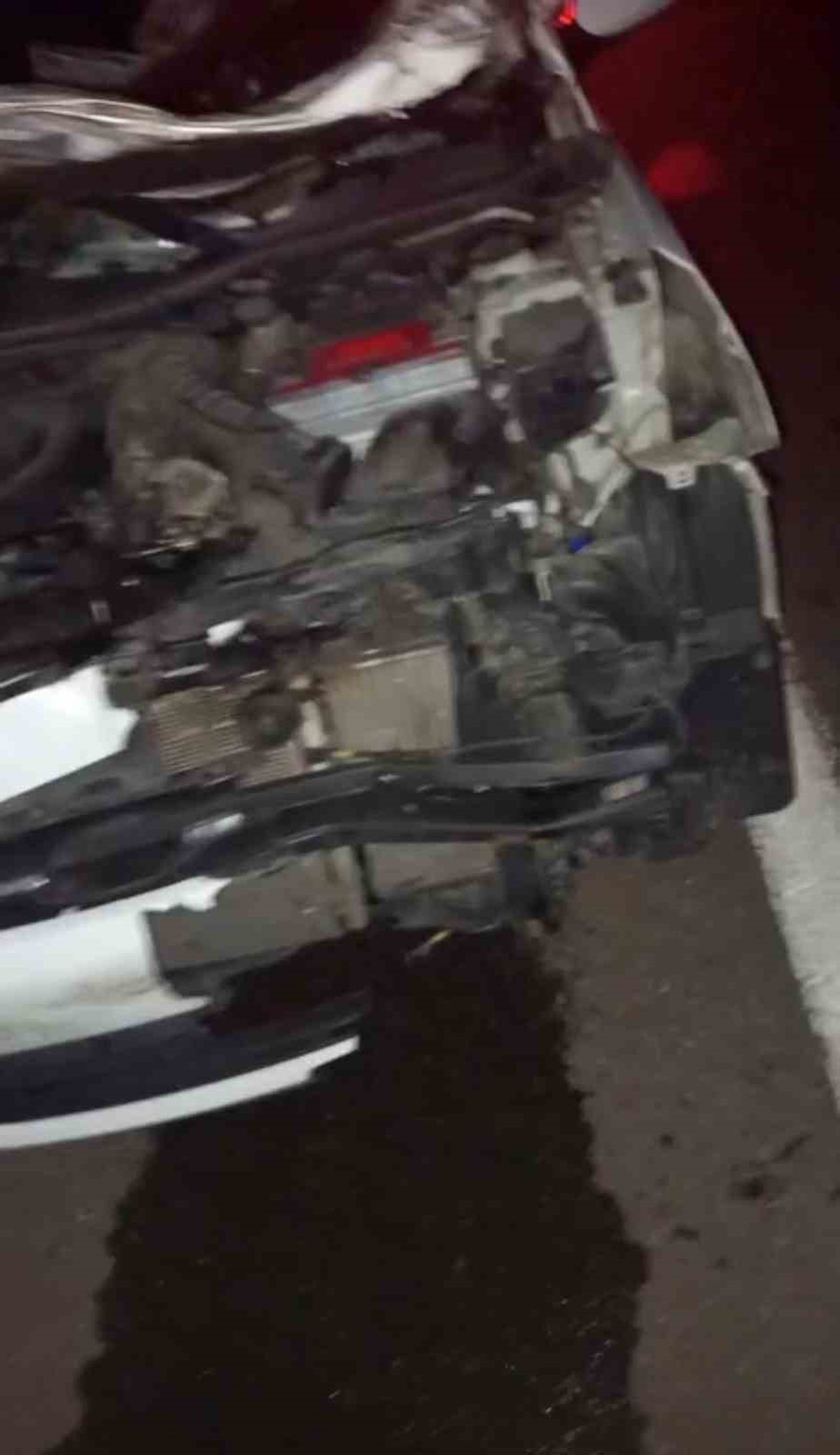 Bingöl'de otomobil yola çıkan ineğe çarptı, biri bebek 2'si ağır 4 kişi yaralandı