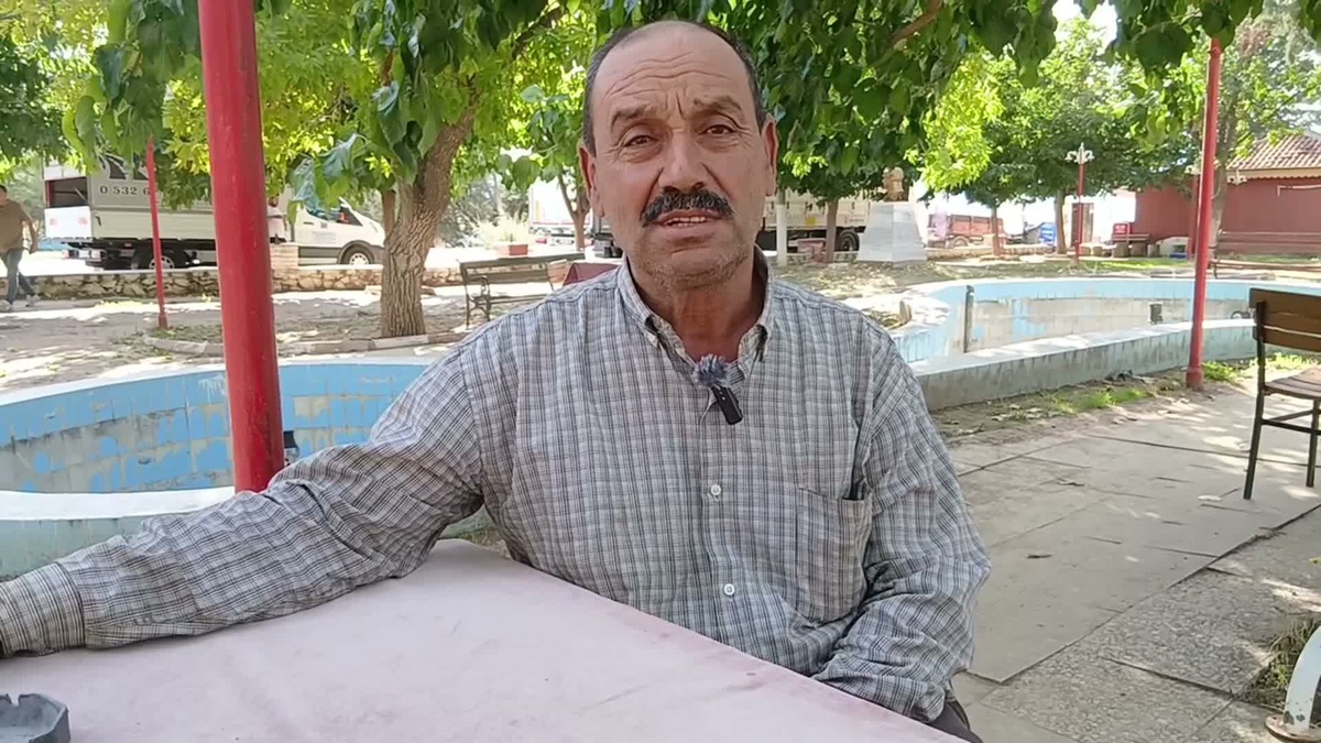 Aydın Karacasu'da zeytin üreticileri düşük fiyata isyan etti, alımlar durdu