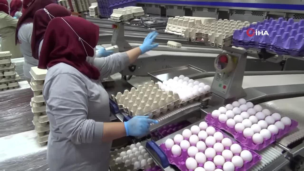 [YEREL / KAMU · Afyonkarahisar · Başmakçı] Üreticiler Aracıları Yumurta Fiyatlarının Yükselmesinden Sorumlu Tutuyor