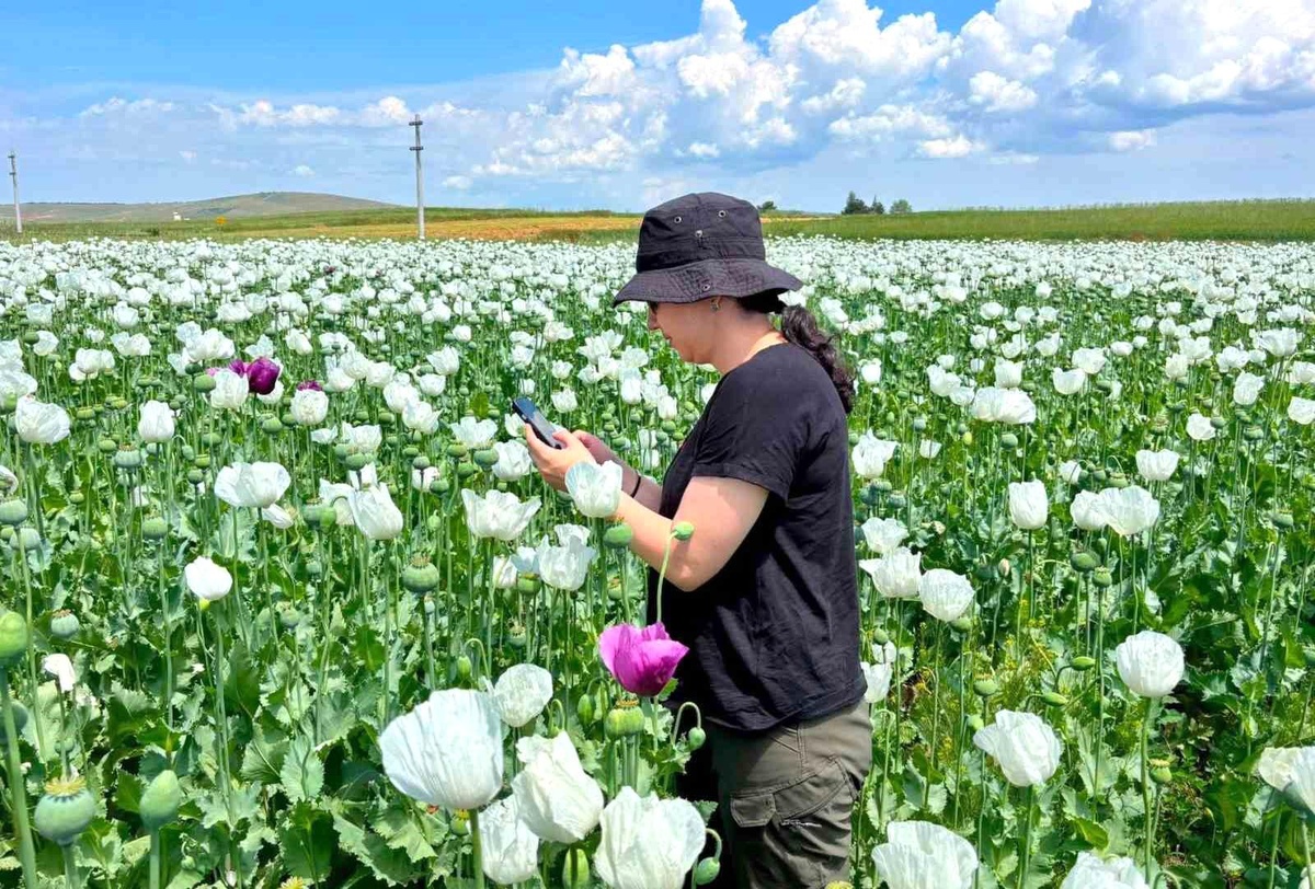 [YEREL / KAMU · Afyonkarahisar · Dazkırı] Tarımsal üretimin planlı şekilde yürütülmesi için çalışmalar sürüyor