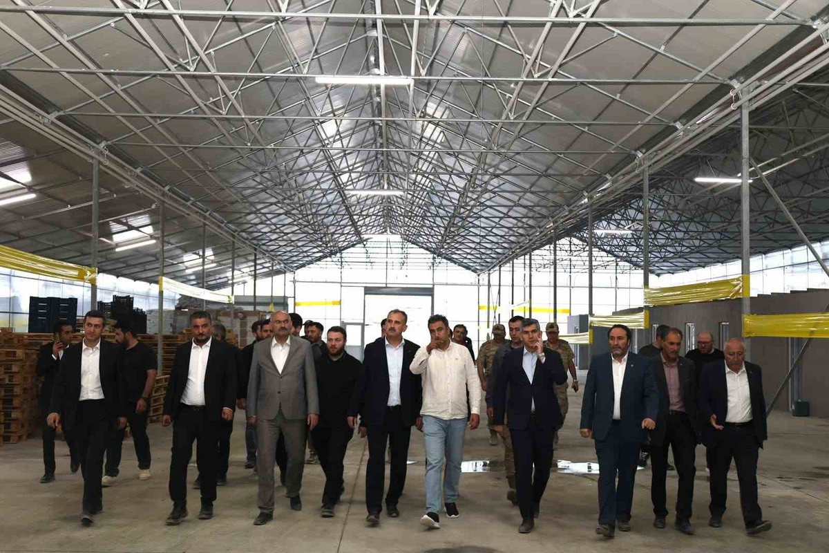 [BELEDIYE · Ağrı · Diyadin] Ağrı Valisi Bozkurt, Diyadin Jeotermal Sera OSB'deki çalışmaları yerinde inceledi
