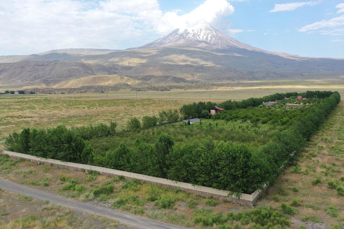 [YEREL / KAMU · Ağrı · Doğubeyazıt] Ağrı Dağı'nın yakınlarındaki çorak araziye kurulan bahçede meyve hasadı yapıldı