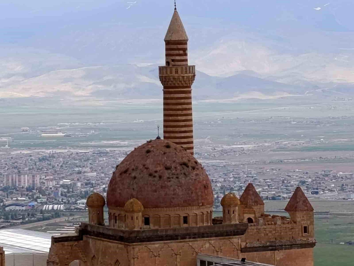[BELEDIYE · Ağrı · Doğubeyazıt] İshakpaşa Sarayı'nın kubbesindeki otlar ziyaretçilerin dikkatini çekti