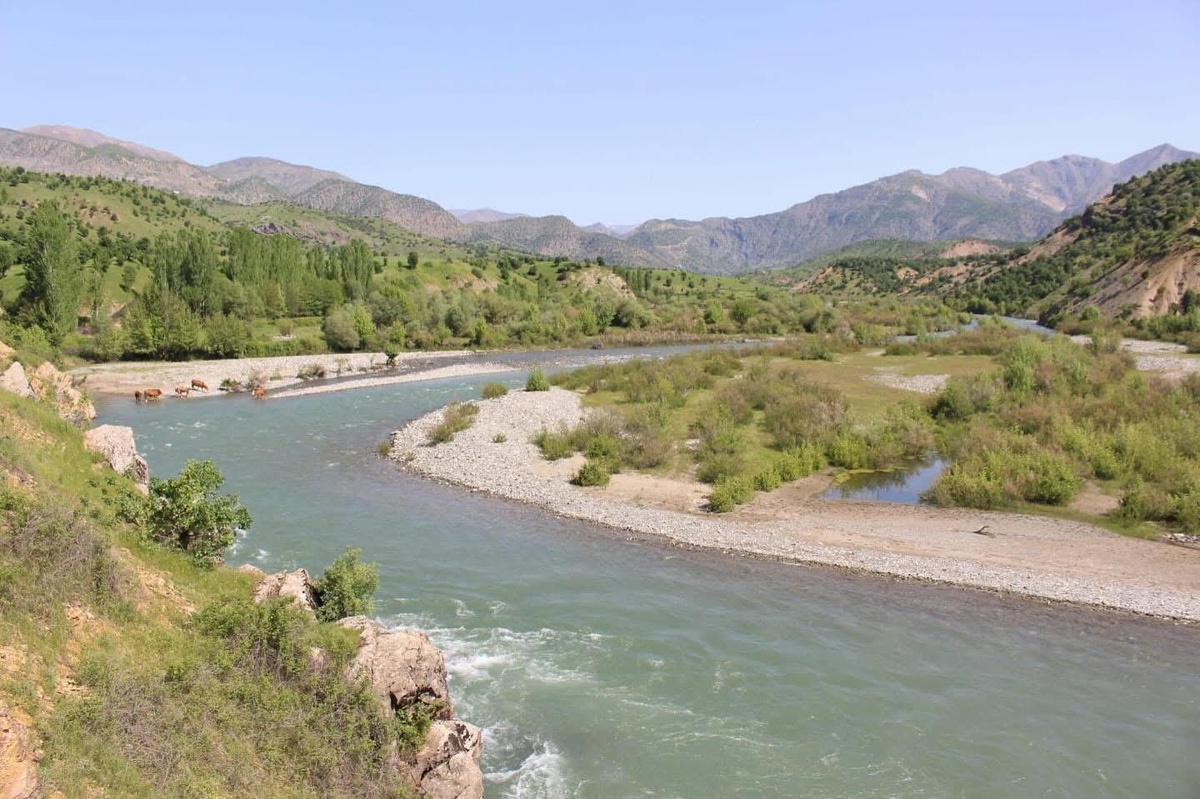 Bingöl İdare Mahkemesi, Birsu HES'in ÇED Olumlu kararını iptal etti