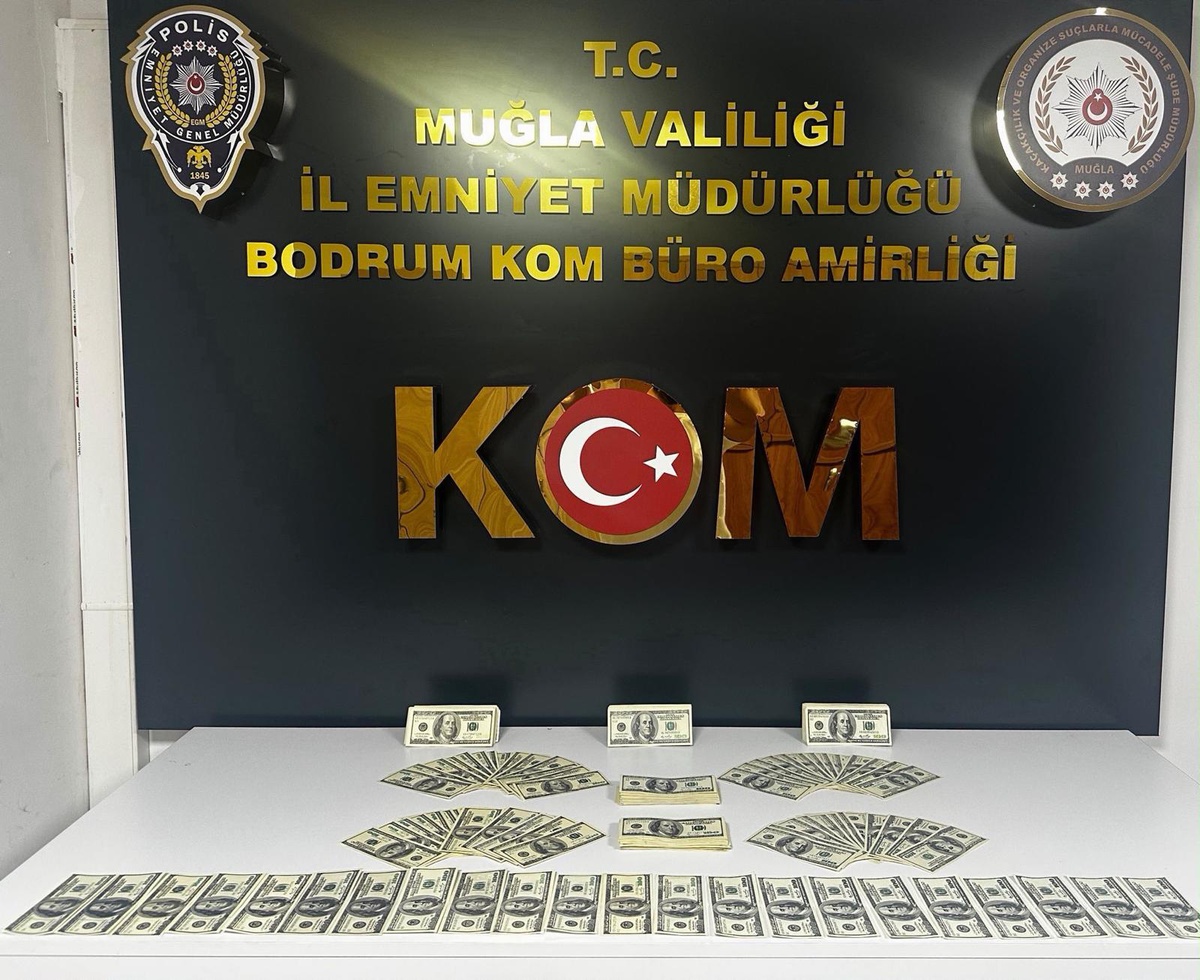 Bodrum'da işyerinde 46 bin 200 sahte ABD doları ele geçirilen şüpheli tutuklandı