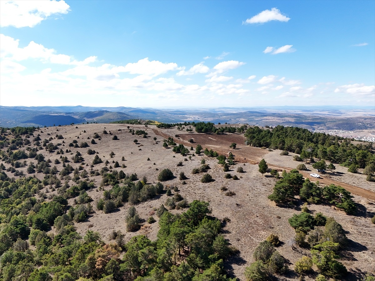 [BELEDIYE · Yozgat · Akdağmadeni] Yozgat'ta 'Ak Çam Konaklamalı Orman Parkı' Projesi Başladı