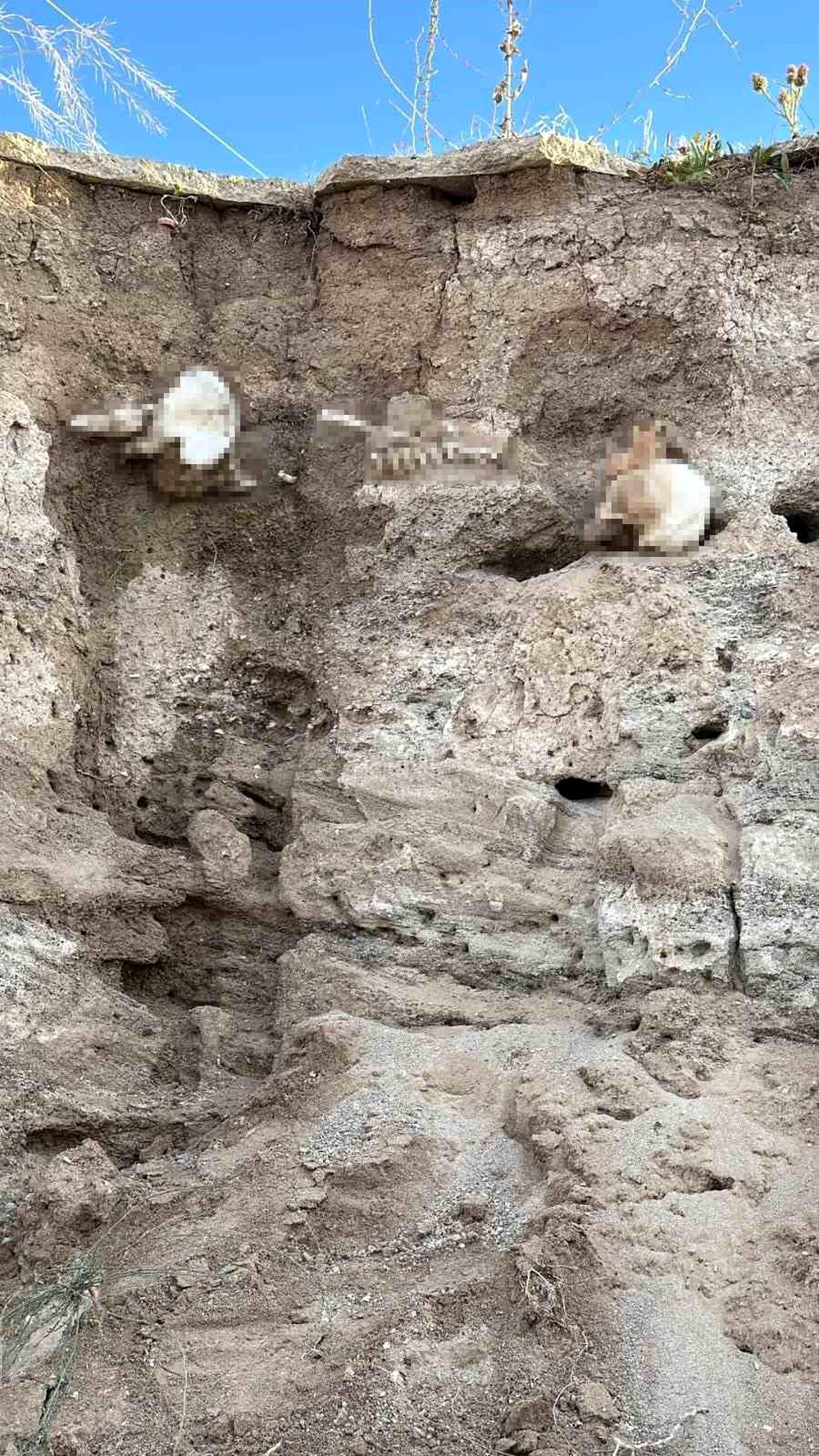 [BELEDIYE · Yozgat · Boğazlıyan] Yozgat'ta toprak altından insan kemikleri çıktı