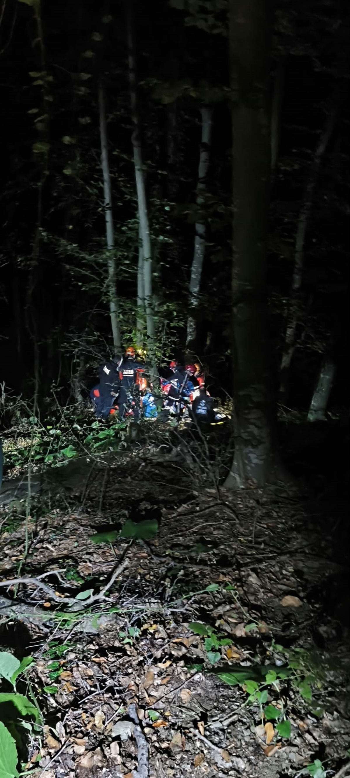 [BELEDIYE · Yalova] Yalova'da kaybolan Alzheimer hastası 80 yaşındaki kişi termal dronla kurtarıldı