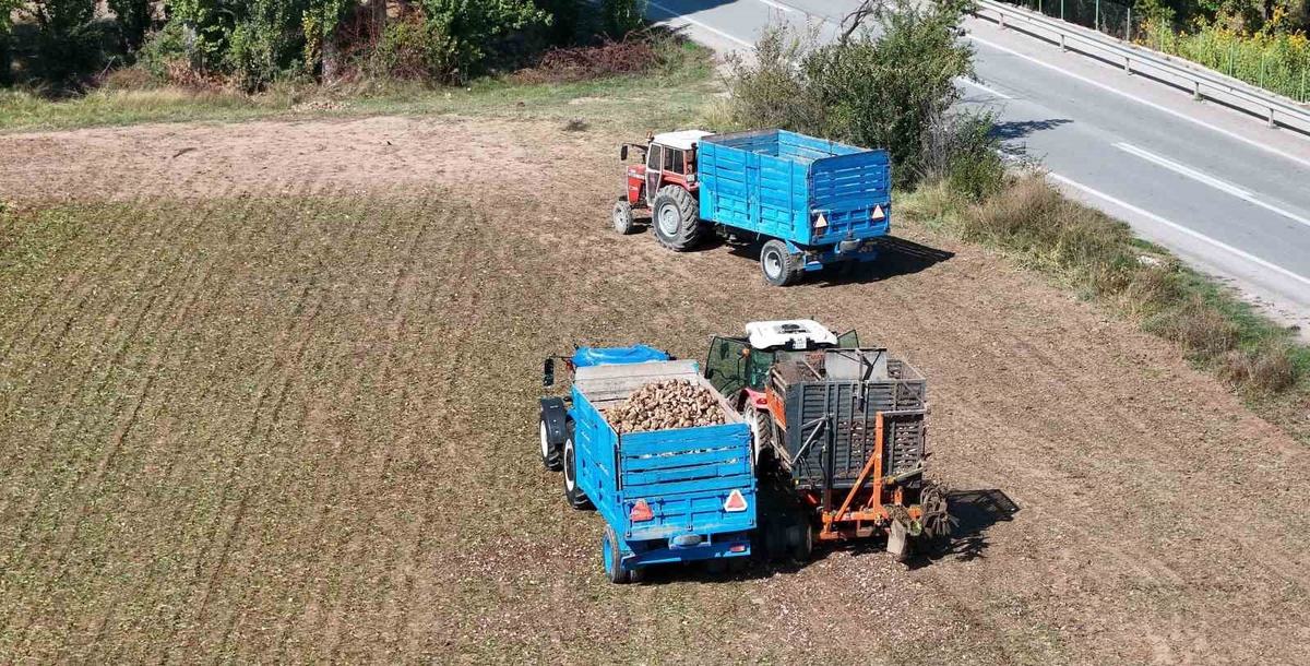 Erzincan Pancar Ekicileri Kooperatifi, 3 bin 720 liralık fiyata tepki gösterdi