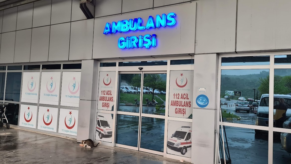 [YEREL / KAMU · Zonguldak · Alaplı] Zonguldak Alaplı'da ağaçtan düşen kişi ve merdiveni tutan kişi yaralandı