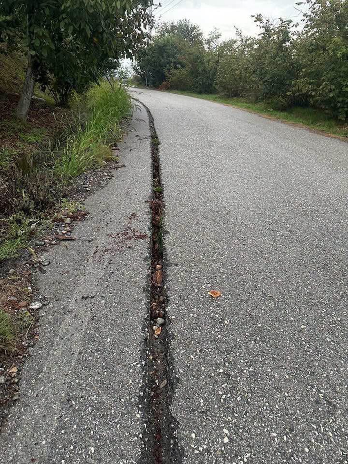 [YEREL / KAMU · Zonguldak · Alaplı] Zonguldak Alaplı'da fiber kazısı kapatılmadı iddiasıyla köylü yetkililere çağrı yaptı