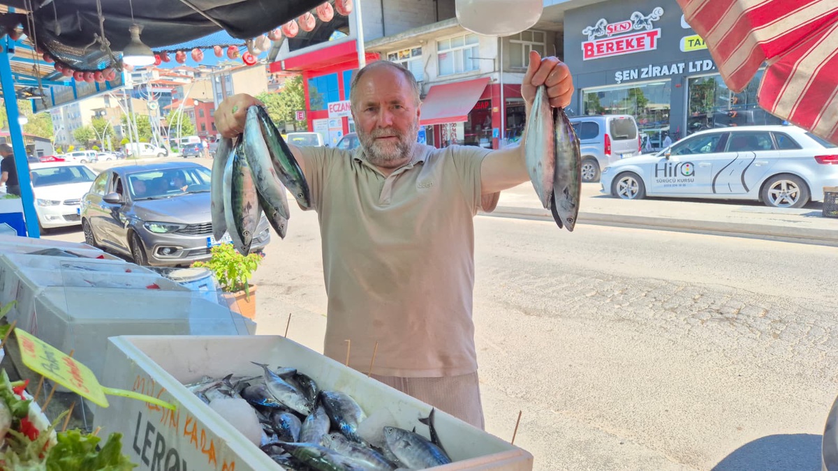 [BELEDIYE · Zonguldak · Alaplı] Alaplı'da palamut bolluğu: Tanesi 100 TL