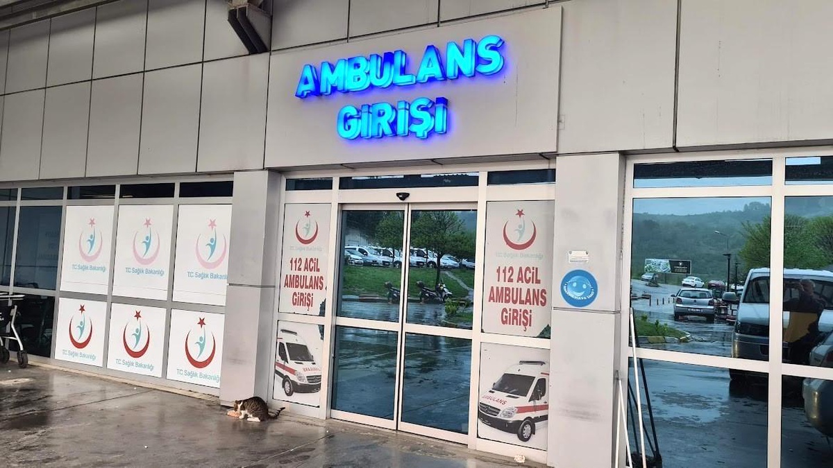 [YEREL / KAMU · Zonguldak · Alaplı] Alaplı'da 'pat-pat' kazası: 2 yaralı