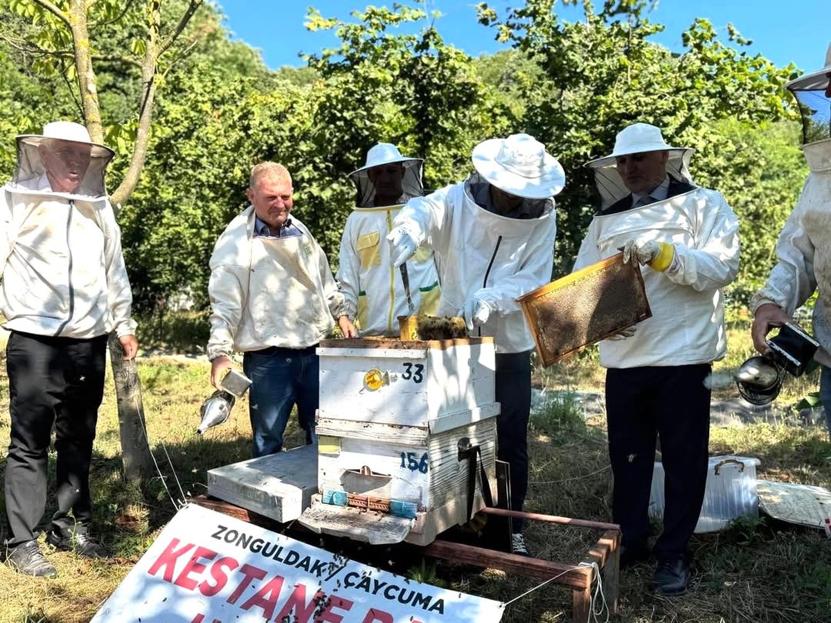 [YEREL / KAMU · Zonguldak · Çaycuma] Çaycuma'da Kestane Balı Hasadı Etkinliği Düzenlendi