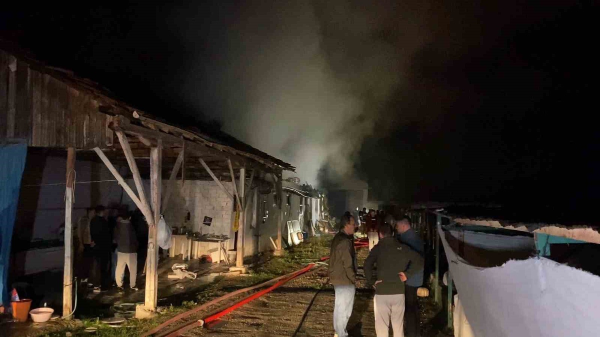 Bursa'nın İnegöl ilçesinde büyükbaş hayvan çiftliği yangında kullanılamaz hale geldi