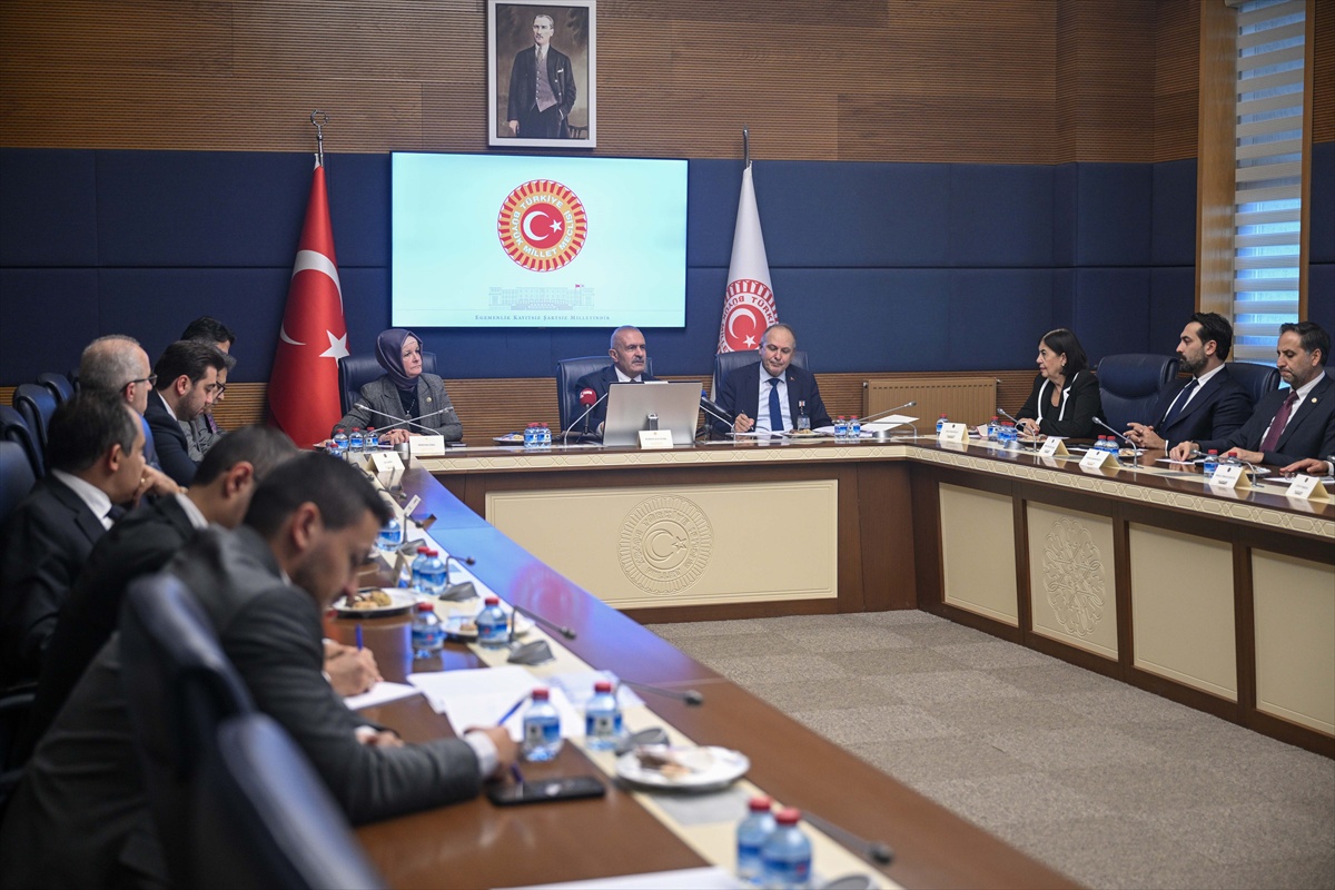 [BELEDIYE · Van] AB Uyum Komisyonu Başkanvekilliğine Yeni Parti İzmir Milletvekili Taşkın seçildi