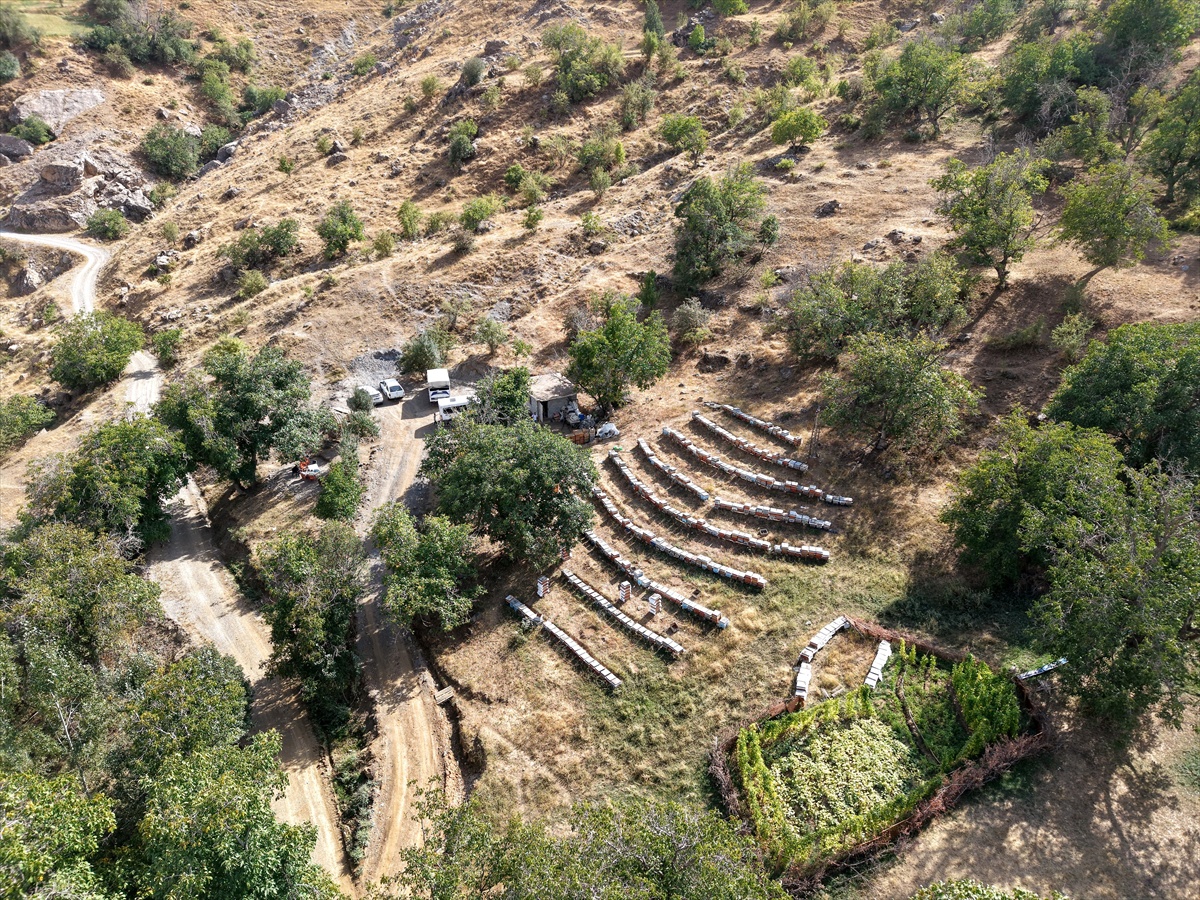 [BELEDIYE · Van · Bahçesaray] Van Bahçesaray'da arıcı, 28 yılda 650 kovana ulaştı, 3 ton bal bekliyor