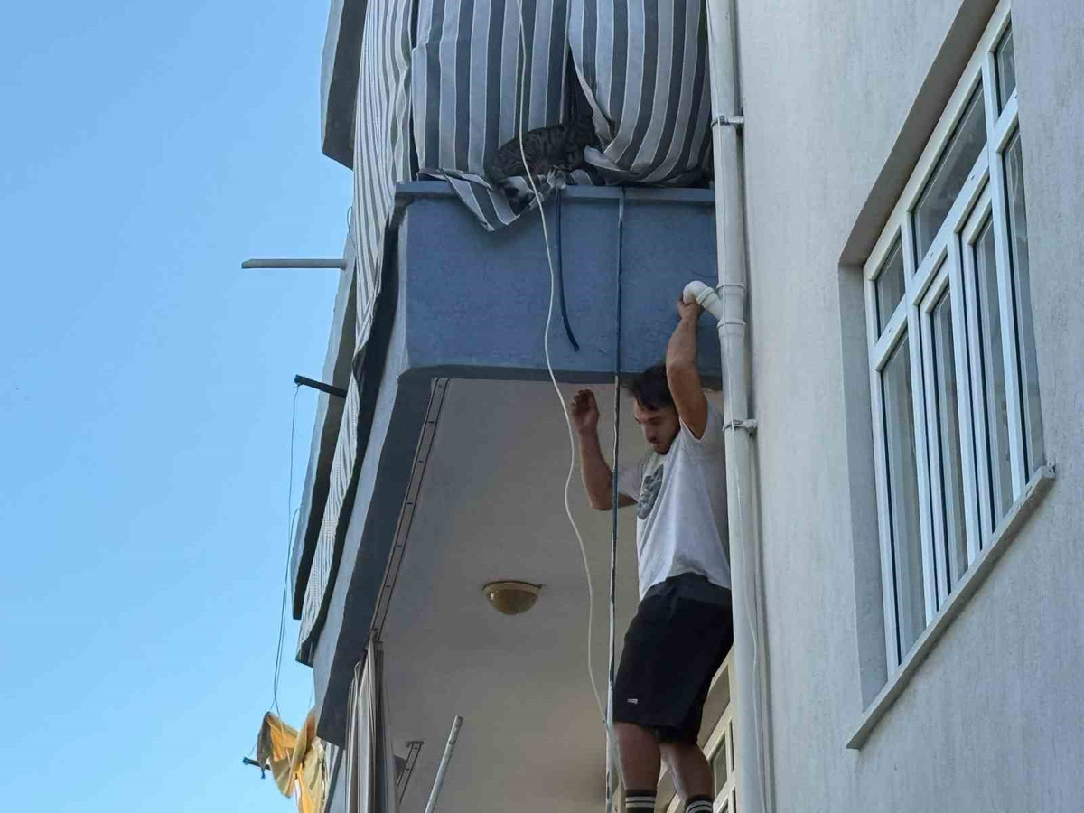 Antalya'da ev sahibinin ateşe verdiği iddia edilen dairede kedi mahsur kaldı! Kiracı genç balkona tırmanıp kurtardı