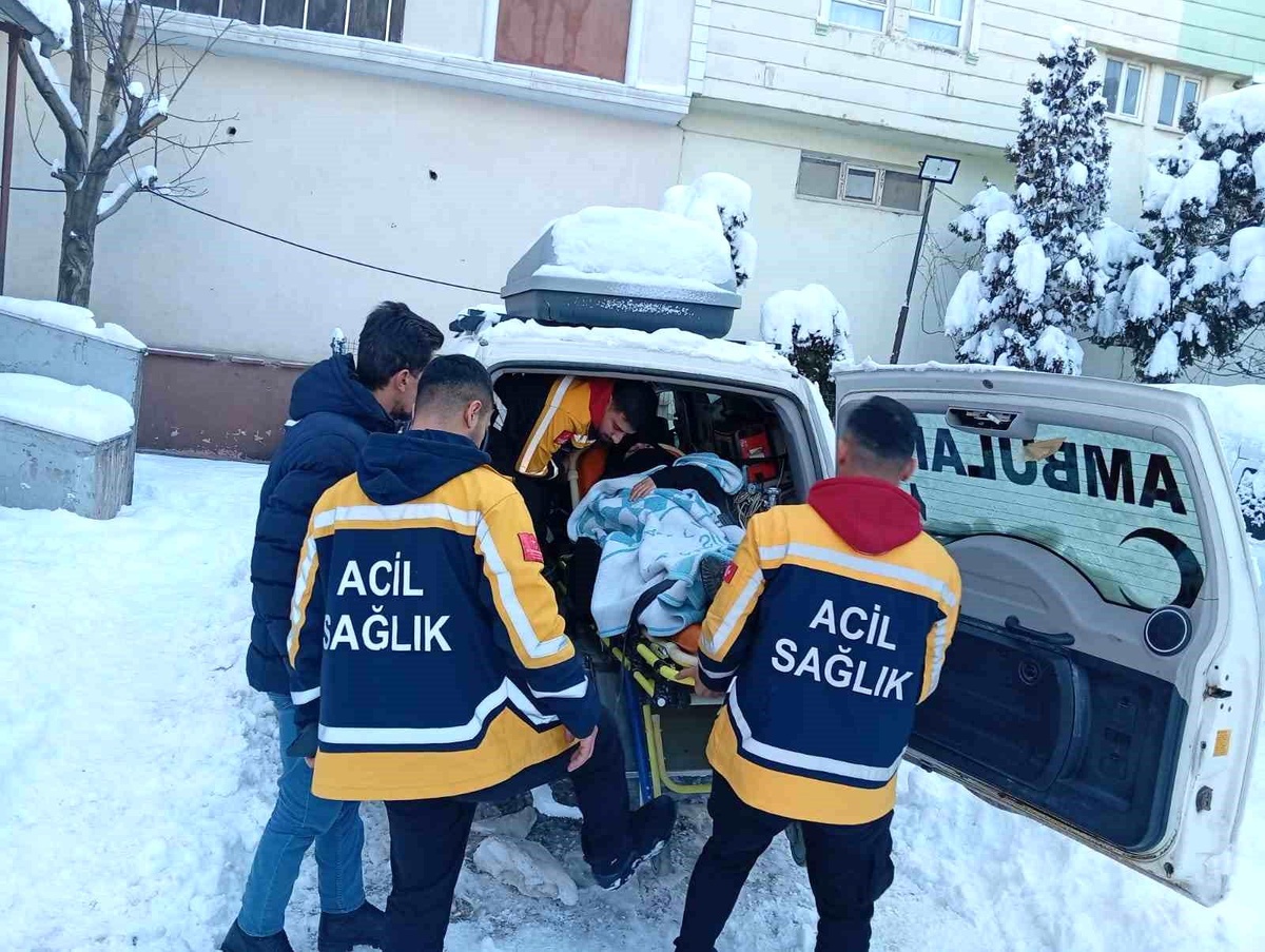 [YEREL / KAMU · Siirt · Pervari] Siirt'te doğum sancısı tutan hasta, 5 saatlik çalışmayla hastaneye ulaştırıldı