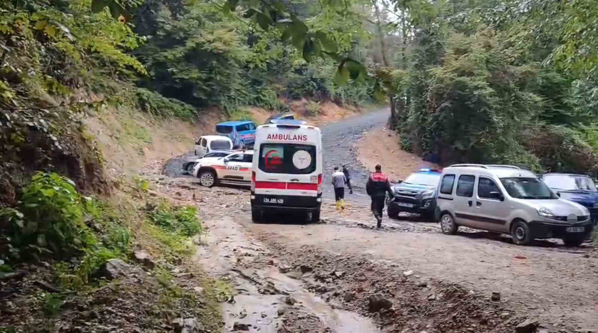 Sapanca'da kestane toplamak için ormana giden 66 yaşındaki Durmuş Duran ölü bulundu