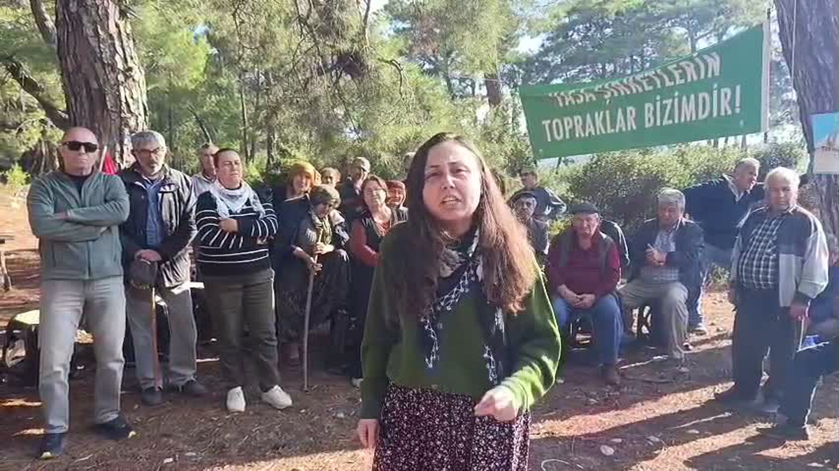 Danıştay 6. Dairesi Akbelen Ormanı'ndaki 679 parsel için açılan davayı reddetti