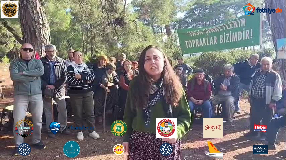 Danıştay 6. Dairesi Akbelen Ormanı'ndaki 679 parsel için açılan davayı reddetti