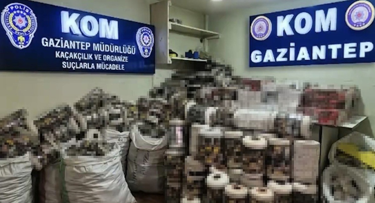 Gaziantep'te 14 bin paket kaçak sigaraya el konuldu, 1 şüpheli gözaltına alındı