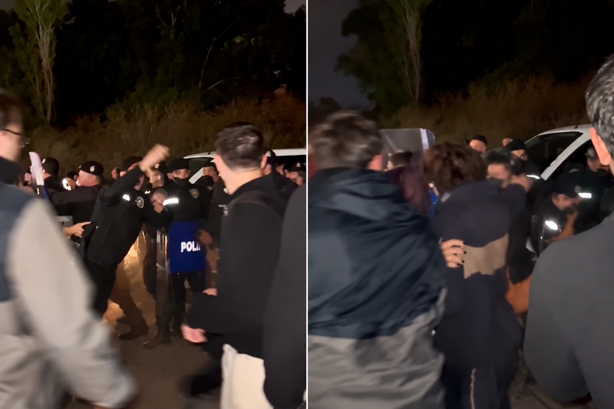 Ege Üniversitesi’nde gece yarısı köpekler toplatıldı! Hayvanseverler tepkili