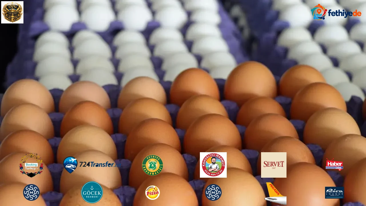 Yumurta ihracatında rekor artış! Yıl sonu hedefi yükseldi!