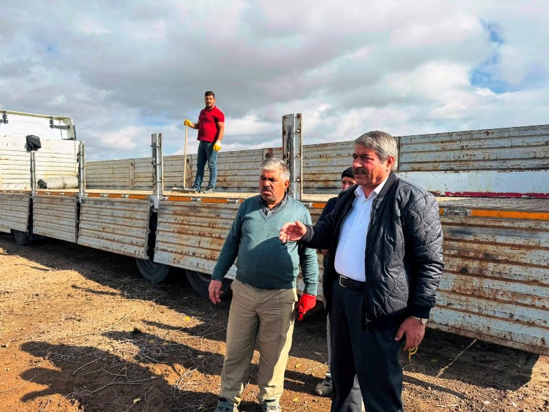 [BELEDIYE · Ağrı · Patnos] Ruhu dinlendiren seyir tepesi