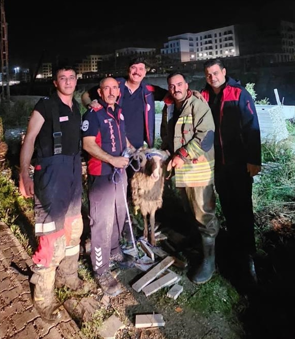 Asi Nehri'ne düşen koyun, Hatay Antakya'da itfaiyenin halatlı müdahalesiyle çıkarıldı