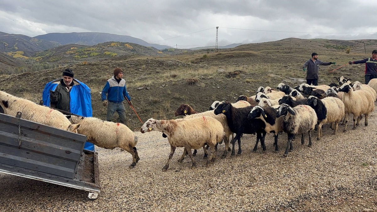 Erzincan'da Şavak aşiretinden üreticiler 4 aylık yayla sezonunu halayla kapattı