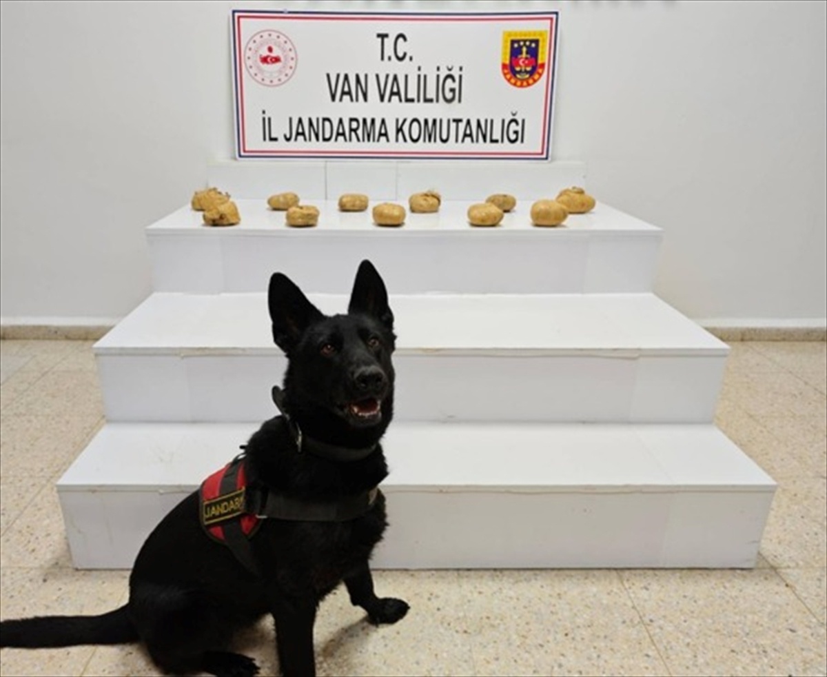 Van Başkale'de jandarma operasyonunda 11 kilo 958 gram esrar ele geçirildi