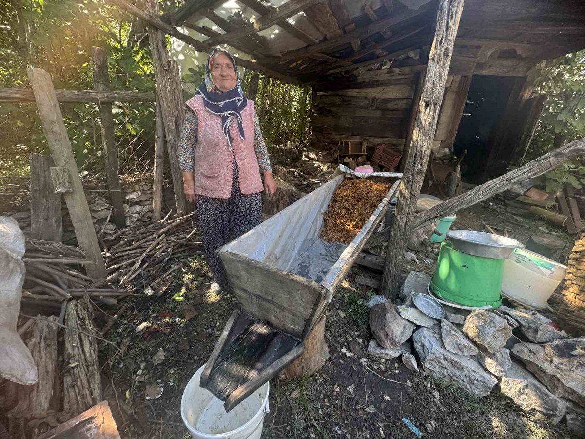 İbradı'da 77 yaşındaki Fatma Yamansoy pekmez sezonunu en son tamamlıyor
