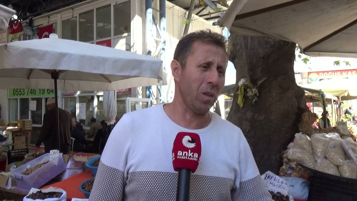 Sinop Erfelek'te kuzu kestanesi 250-650 liradan satılıyor, satışlar düştü