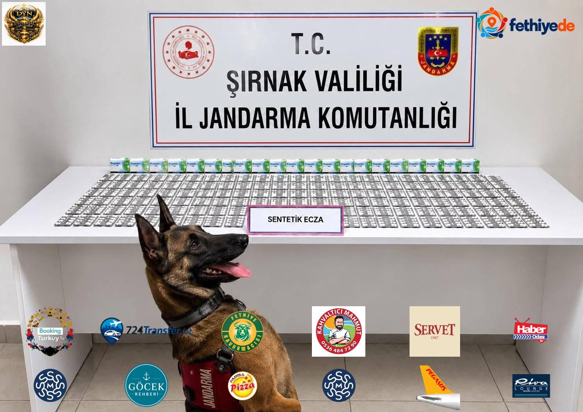 Şırnak'ta jandarma operasyonunda aranan 49 şahıs yakalandı, 12 kişi tutuklandı