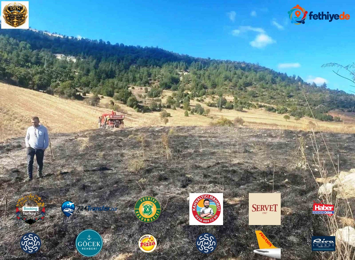 Kütahya Emet'te Yağcık köyündeki ot yangını söndürüldü, yaklaşık 2 dekar zarar gördü