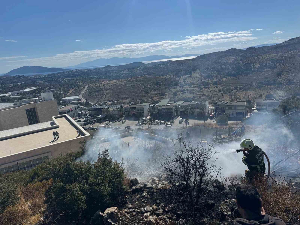 Bodrum Konacık'taki makilik yangında 200 metrekarelik alan zarar gördü