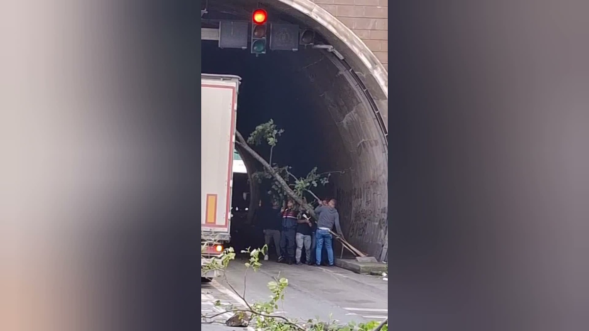 Artvin Hopa'da tünelde heyelan sonrası ağaçlar seyir halindeki araçların üstüne düştü