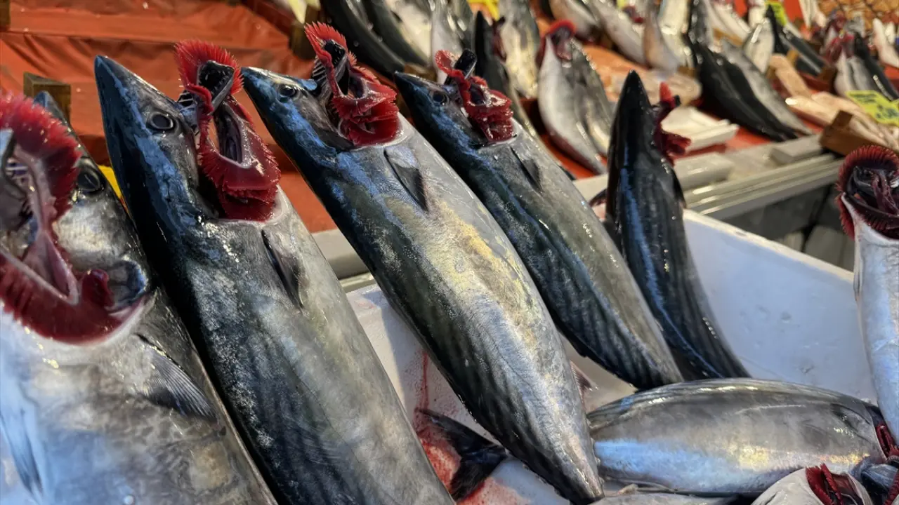 Tarihi bolluğa herkes şaşıp kalıyor! 40 liraya kadar düştü!