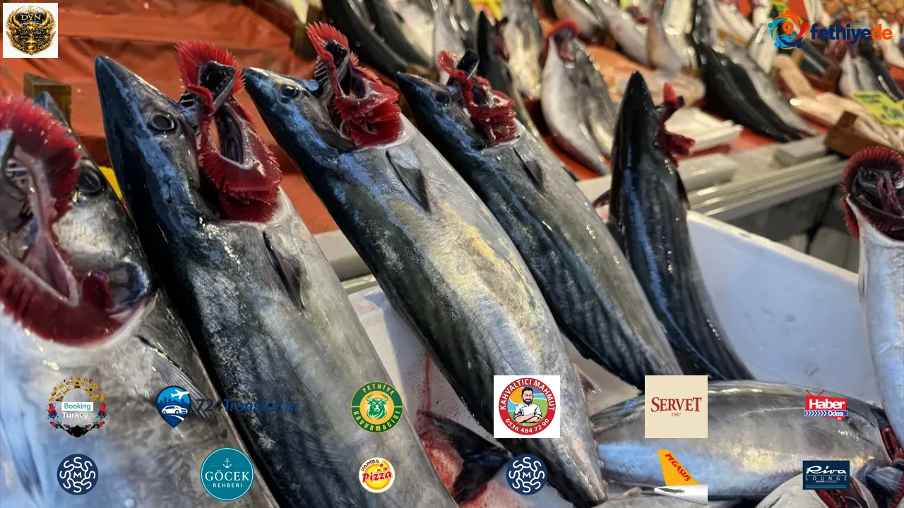 Tarihi bolluğa herkes şaşıp kalıyor! 40 liraya kadar düştü!