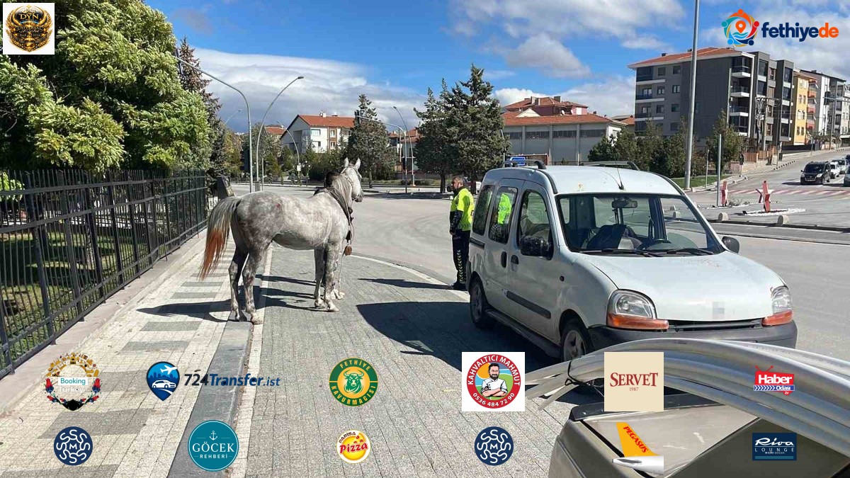 Karaman'da bağlı yerden kaçan at, koşarak gelip otomobile arkadan çarptı! O anlar kamerada